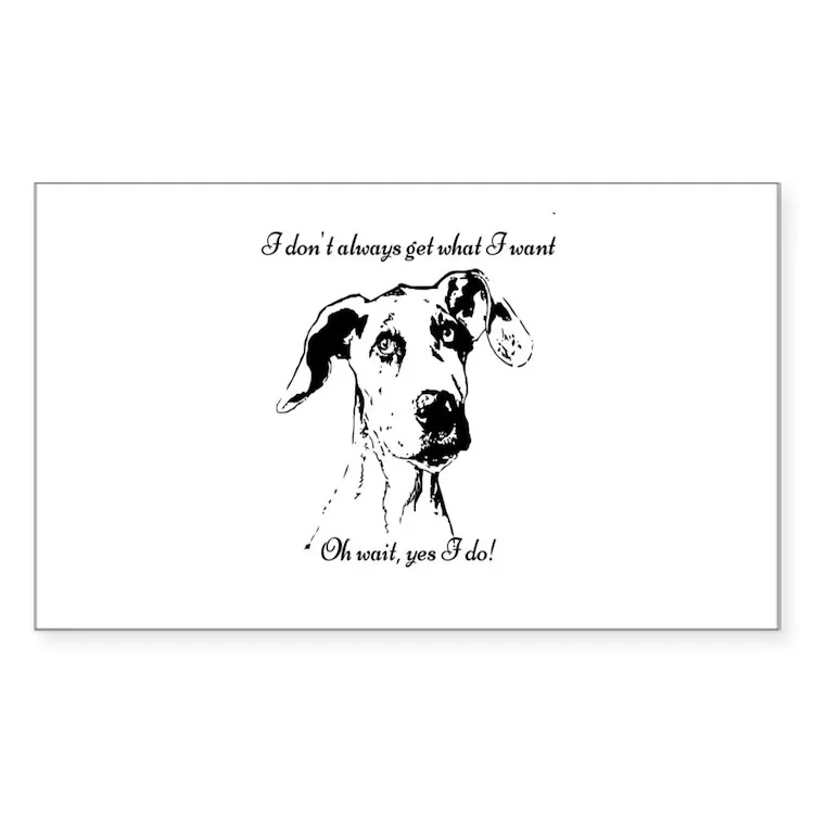 Забавная Великолепная наклейка с цитатами для ноутбука, декор для автомобиля, милый мультяшный модный чемодан для общественных мест
Забавная Великолепная наклейка с цитатами для ноутбука, декор для автомобиля, милый мультяшный модный чемодан для общественных мест