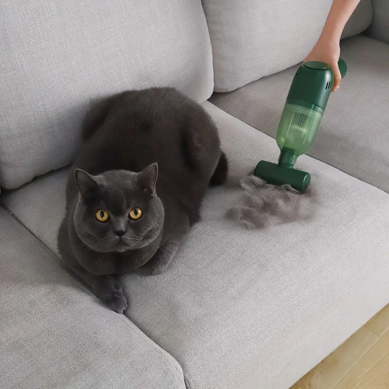 Electric Pet Hair Remover Cat Hair Removal Adsorption Pet Bed Brush Cleaning Vacuum Cleaner Home
Electric Pet Hair Remover Cat Hair Removal Adsorption Pet Bed Brush Cleaning Vacuum Cleaner Home