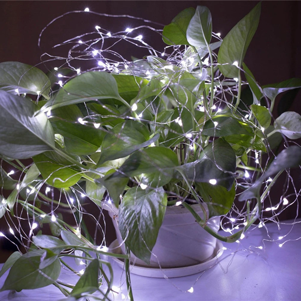 Energy-Saving Indoor Outdoor Fairy Lights Wedding Party Garden Courtyard Decoration Lights String LED Solar Copper Fairy Lamp
Energy-Saving Indoor Outdoor Fairy Lights Wedding Party Garden Courtyard Decoration Lights String LED Solar Copper Fairy Lamp
