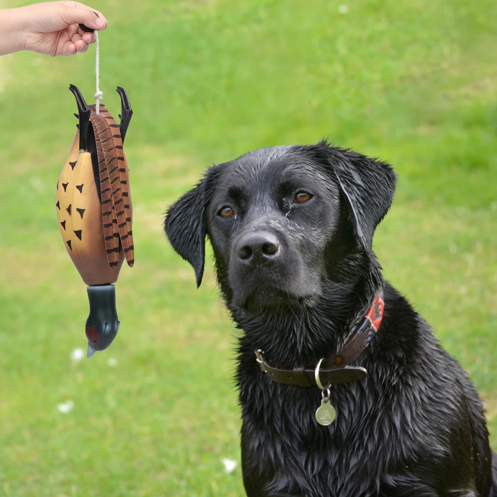 Mulipurpose Pet Dead Fowl Fetch Toy For Training Dogs Outdoor Indoor Imitate Dead Fowl Essential For Trainers
Mulipurpose Pet Dead Fowl Fetch Toy For Training Dogs Outdoor Indoor Imitate Dead Fowl Essential For Trainers