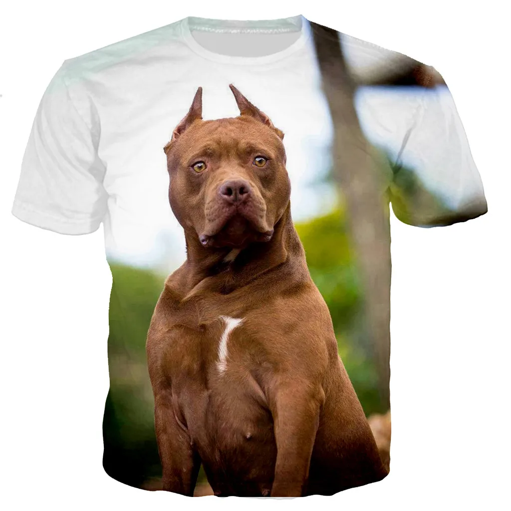 Summer Men/women 3d Printed Casual T-shirts Harajuku Style Tshirt Streetwear Oversized Tops
Summer Men/women 3d Printed Casual T-shirts Harajuku Style Tshirt Streetwear Oversized Tops