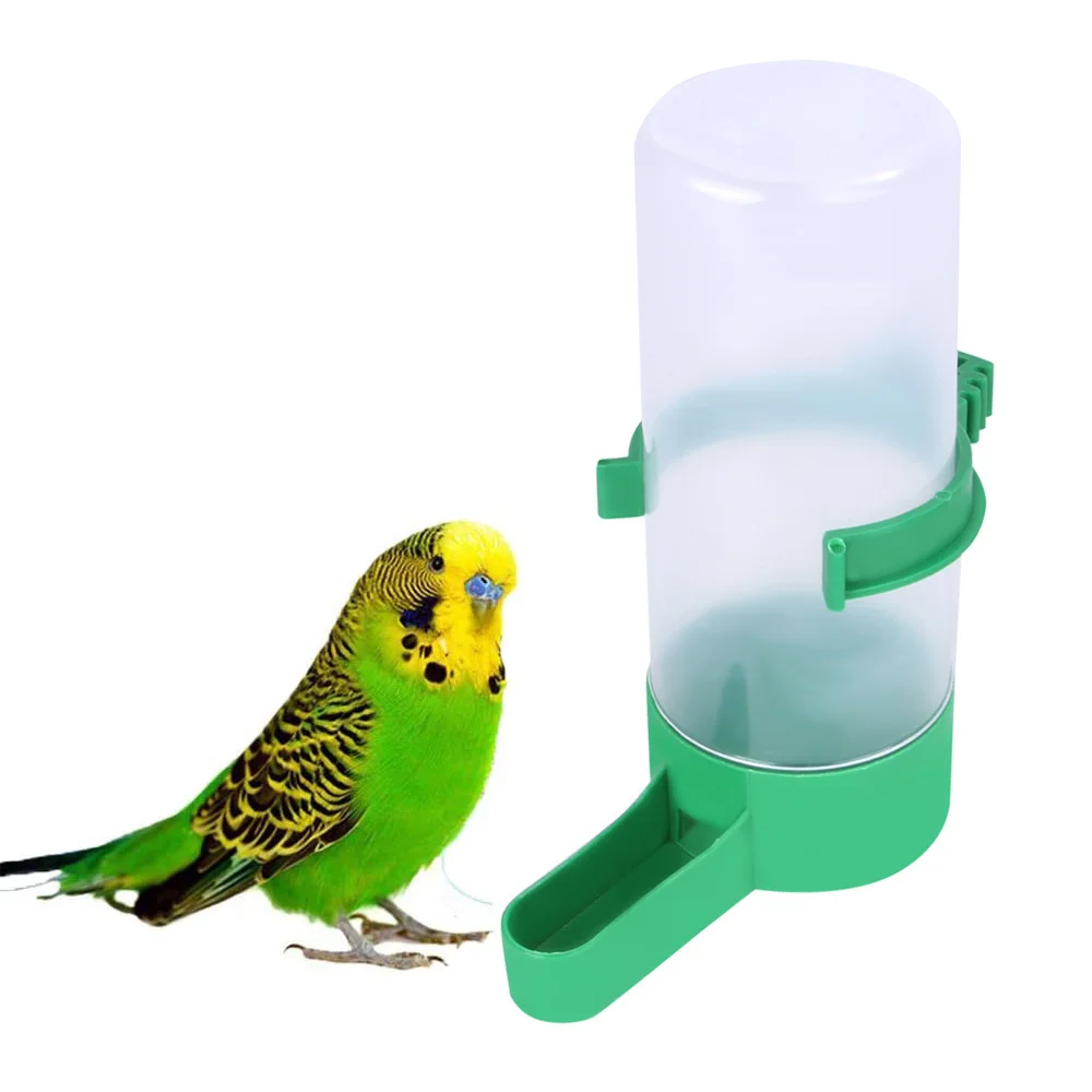 Pet Bird Drinkers Automatic Water Feeder Feeding Feeder Bird Utensils Pet Supplies For Cage Bird Supplies
Pet Bird Drinkers Automatic Water Feeder Feeding Feeder Bird Utensils Pet Supplies For Cage Bird Supplies