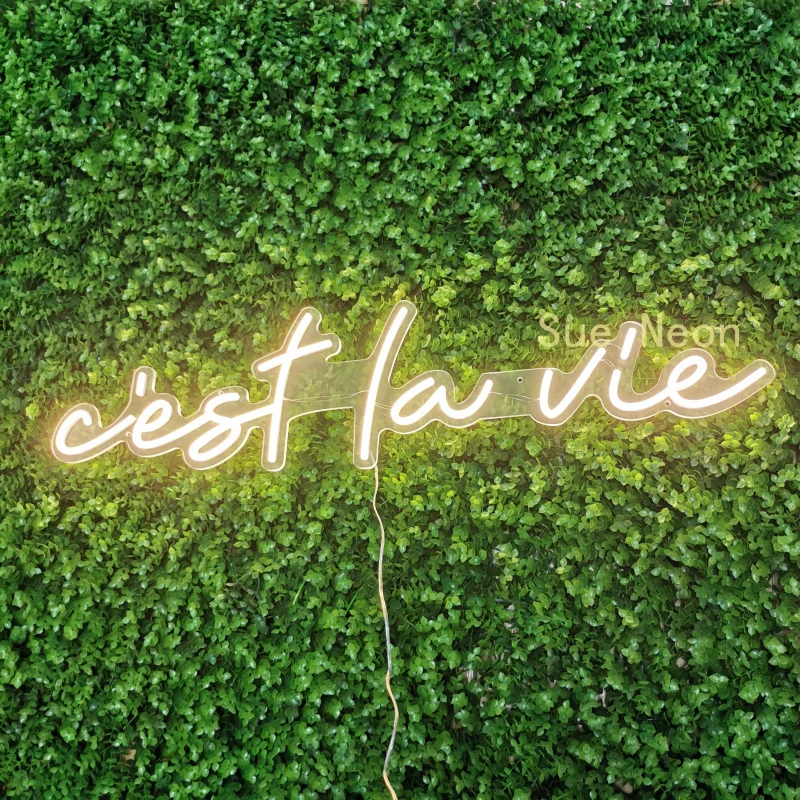 Custom C'est La Vie Neon Sign Personalized Flex Led Neon Light Sign Led Text Custom Party Wedding Led Neon Sign Home Room Decor
Custom C'est La Vie Neon Sign Personalized Flex Led Neon Light Sign Led Text Custom Party Wedding Led Neon Sign Home Room Decor