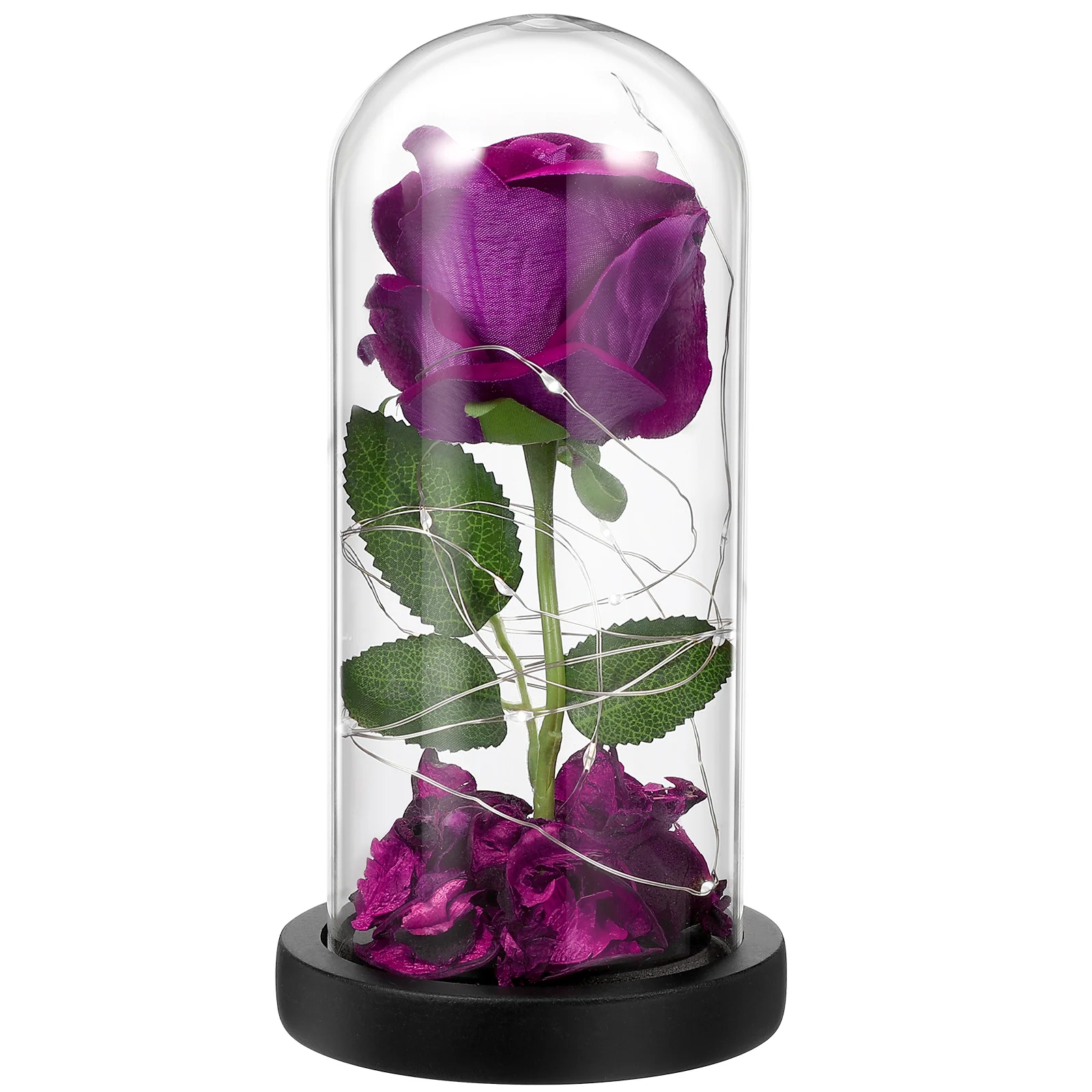 Roseflowerdome Artificial Light Lamp Gift Led Lightsenchantedthebeauty Flowersgifts Day S Valentine Her Preserved Anniversary
Roseflowerdome Artificial Light Lamp Gift Led Lightsenchantedthebeauty Flowersgifts Day S Valentine Her Preserved Anniversary