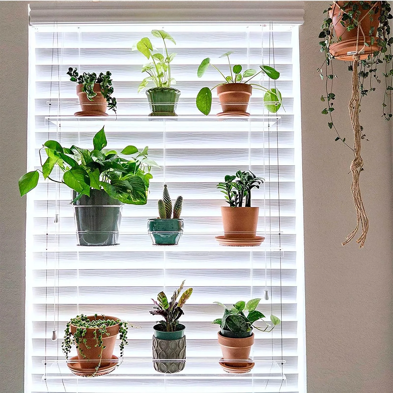 Multi Layer Plant Shelf Hanging Transparent Commodity Bracket Elegant Plant Stand Acrylic Shelves for Plant Pots Flower Window
Multi Layer Plant Shelf Hanging Transparent Commodity Bracket Elegant Plant Stand Acrylic Shelves for Plant Pots Flower Window