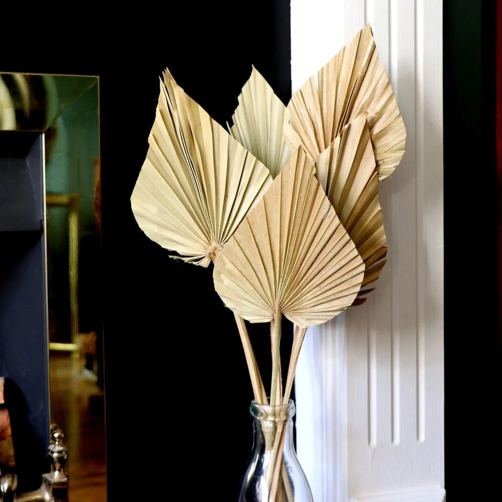 2PCS Palm Fan Leaf Dried Flower Mini Palm Leaves In Different Shapes Pampas Grasses Branches DIY Wedding Decorations Home Decor
2PCS Palm Fan Leaf Dried Flower Mini Palm Leaves In Different Shapes Pampas Grasses Branches DIY Wedding Decorations Home Decor