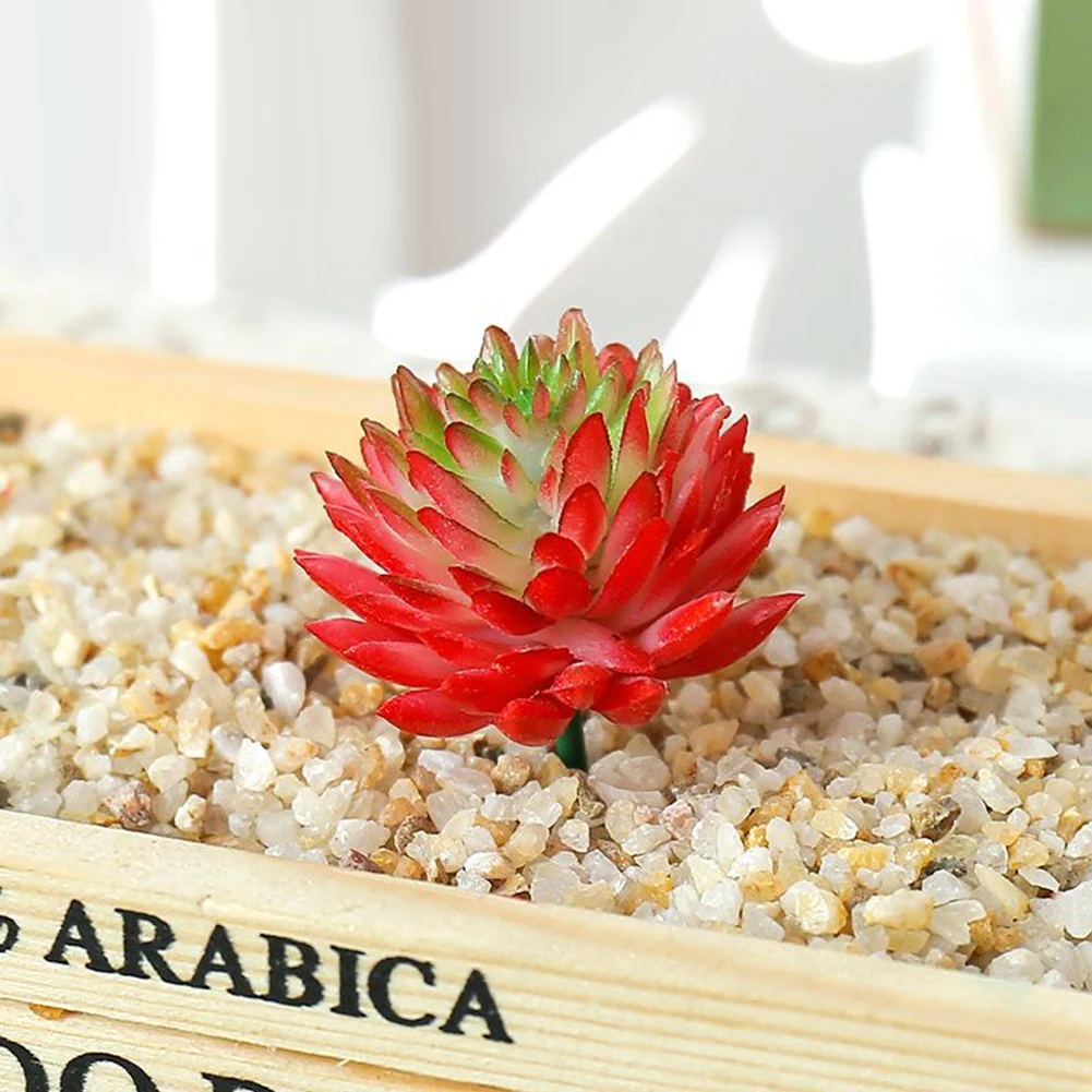 Artificial Plant Succulents Plant Garden Potted Wedding Parties 1 Piece Colourful Home Decor Home Garden Decoration
Artificial Plant Succulents Plant Garden Potted Wedding Parties 1 Piece Colourful Home Decor Home Garden Decoration