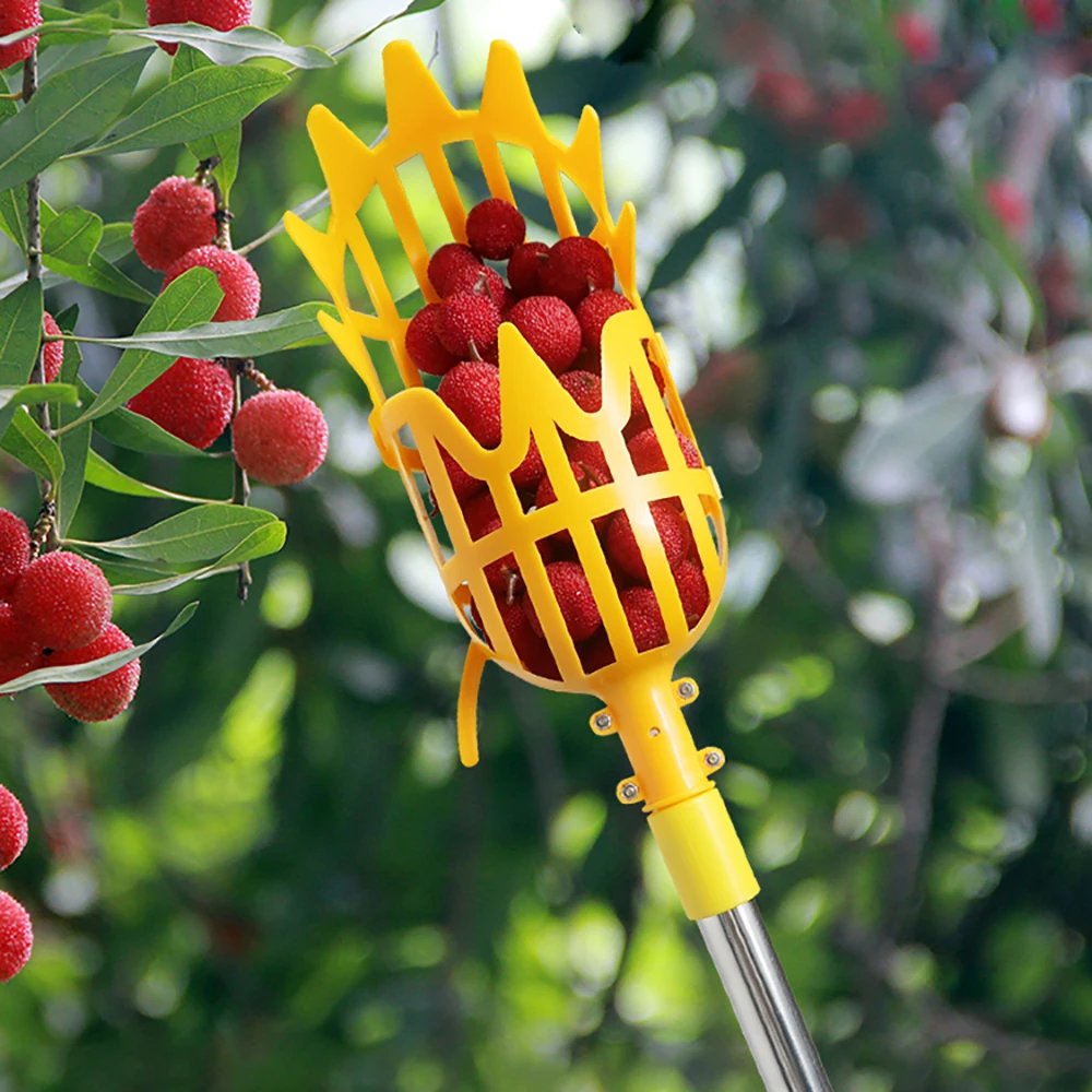 Garden Basket Aerial Fruit Picker Head Plastic Fruit Picking Tool High-quality Fruit Picker Picking Loquat Picking Bayberry Tool
Garden Basket Aerial Fruit Picker Head Plastic Fruit Picking Tool High-quality Fruit Picker Picking Loquat Picking Bayberry Tool
