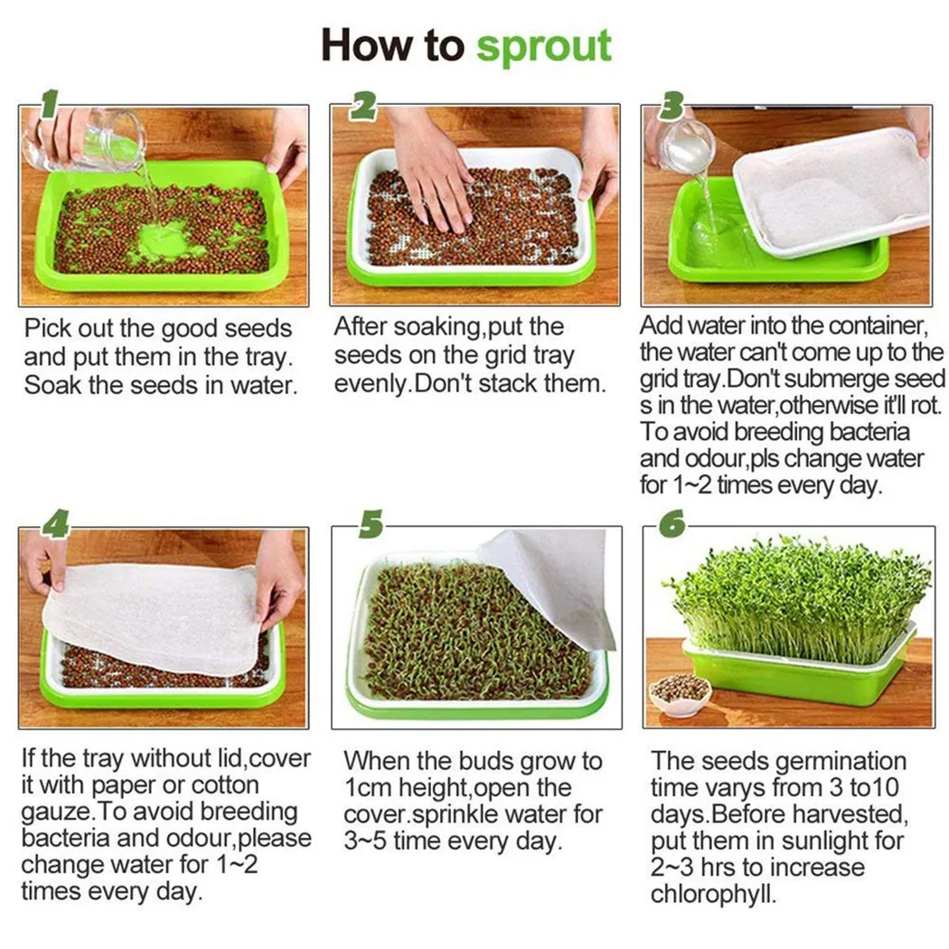 1 прочный поднос для выращивания Microgreens, 2-слойный гидропонный пластик, 33 см x 26 см x 5 см, для бегеров и улучшенных уровней
1 прочный поднос для выращивания Microgreens, 2-слойный гидропонный пластик, 33 см x 26 см x 5 см, для бегеров и улучшенных уровней
