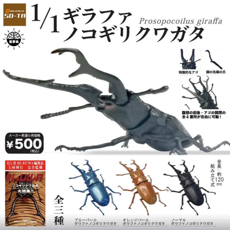 

SO-TA Gashapon Capsule Toys Insect Creature Kawaii 1/1 Big Stag Beetle Odontolabis Cuvera Cute Action Figure for Kids Gift