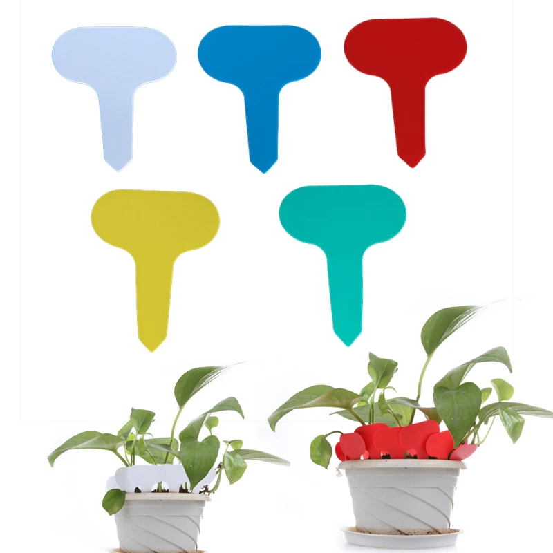 100pcs 6x10cm T-Type Nursery Garden Plant Tag Flower Labels Plant Labeled Pot Marker For Plants Diy Garden Decoration Tools
100pcs 6x10cm T-Type Nursery Garden Plant Tag Flower Labels Plant Labeled Pot Marker For Plants Diy Garden Decoration Tools