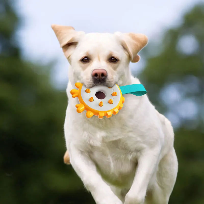 2022 Dog Toys Dog Accessories Teeth Cleaning Chews Large Dog Toys Outdoor Interactive Fly Rings Puppies
2022 Dog Toys Dog Accessories Teeth Cleaning Chews Large Dog Toys Outdoor Interactive Fly Rings Puppies