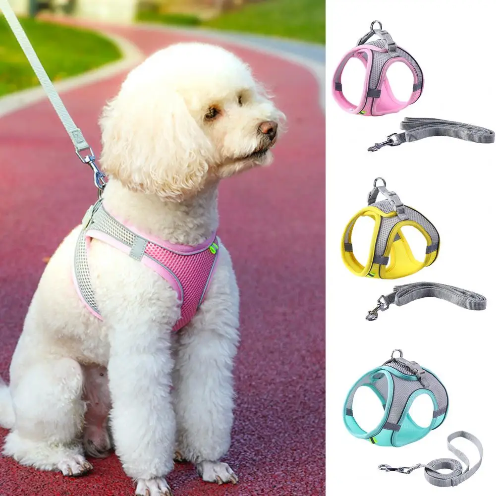 Pet Pet Chest Strap Walking Dog Traction Harnesses Breathable Prevent Break Free Reflective Dog Supplies
Pet Pet Chest Strap Walking Dog Traction Harnesses Breathable Prevent Break Free Reflective Dog Supplies