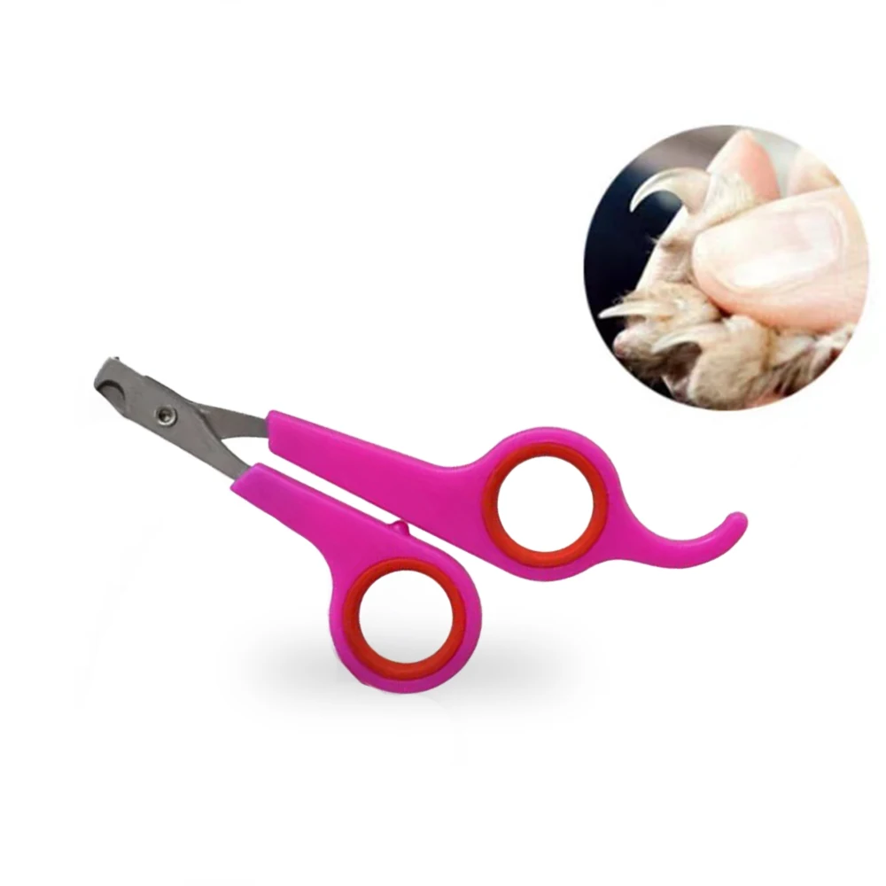 Dog Nail Clippers Dogs Items For Dogs Pet Nail Scissors Nail Clippers Cat And Dogs Manicure Tool Household Pets Grooming Trimmer
Dog Nail Clippers Dogs Items For Dogs Pet Nail Scissors Nail Clippers Cat And Dogs Manicure Tool Household Pets Grooming Trimmer