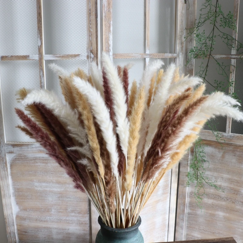 30PCS/lot Small Pampas Grass Real Dried Natural Grass Reed Flower for Wedding Party Decoration DIY Bouquet Gift Boho Home Decor
30PCS/lot Small Pampas Grass Real Dried Natural Grass Reed Flower for Wedding Party Decoration DIY Bouquet Gift Boho Home Decor