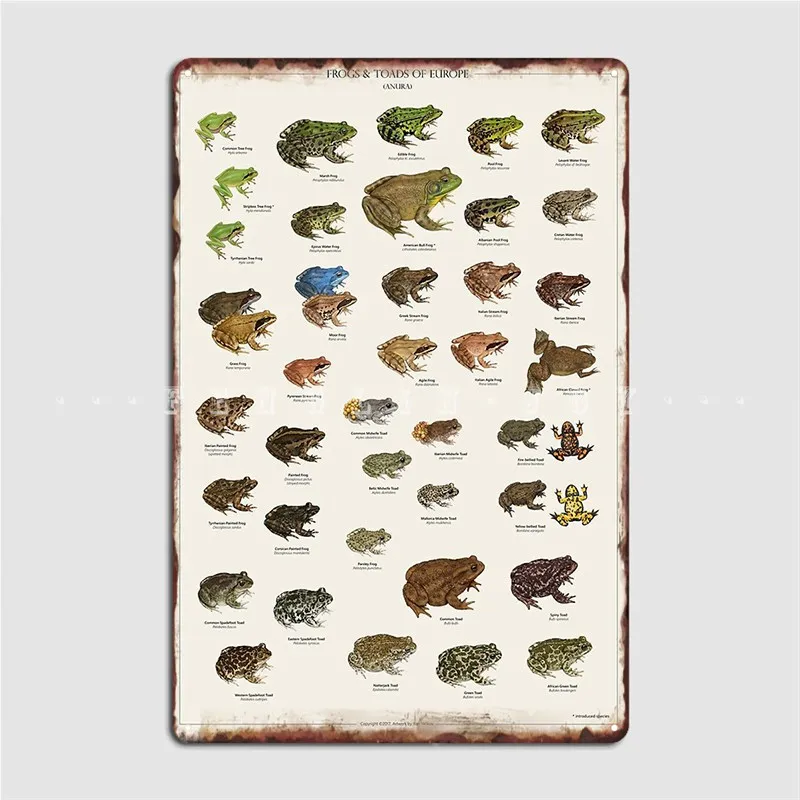 Frogs Toads Of Europe Poster Metal Plaque Club Bar Cave Designing Mural Painting Tin Sign Poster
Frogs Toads Of Europe Poster Metal Plaque Club Bar Cave Designing Mural Painting Tin Sign Poster