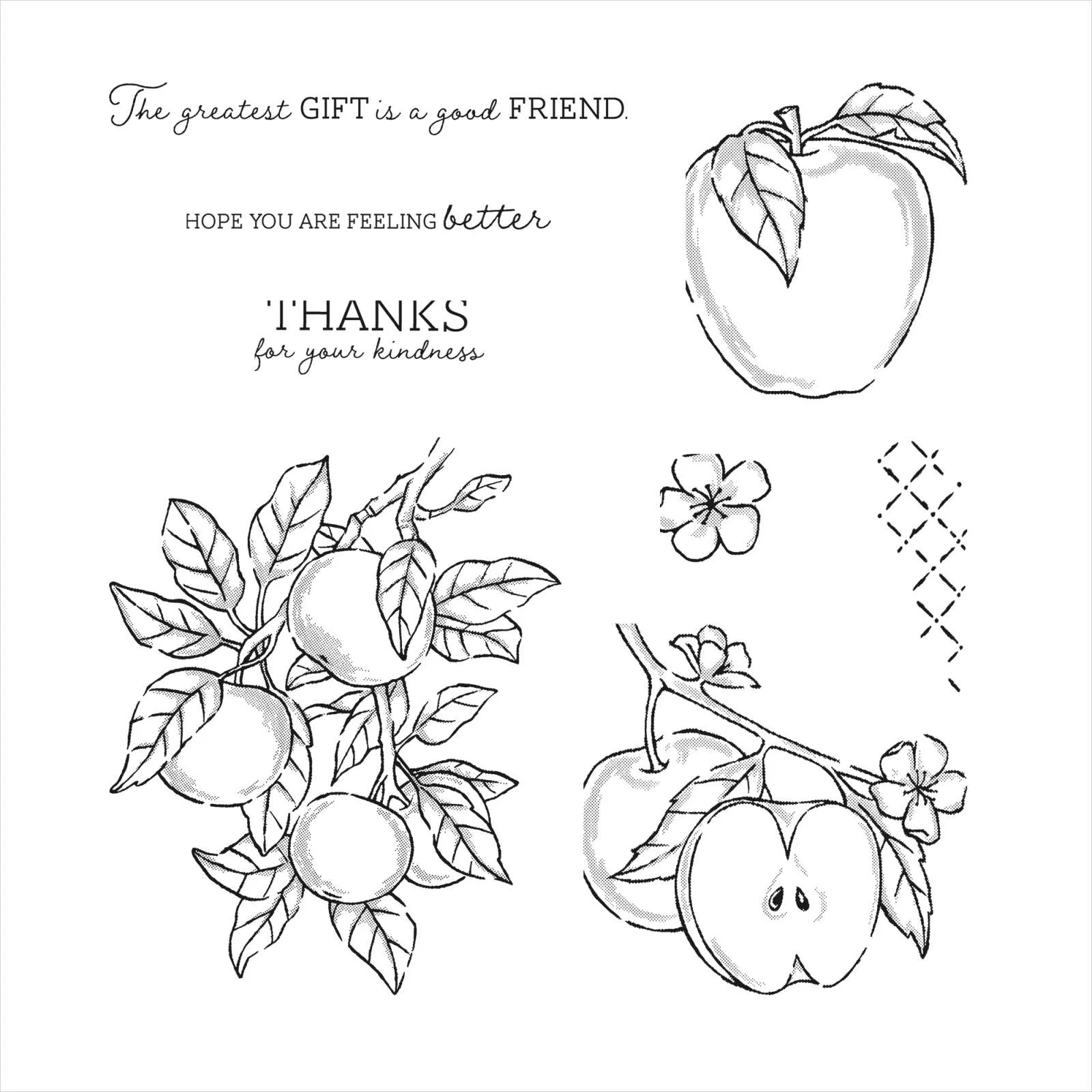 Apple with Leaves 2022 New Metal Cutting Dies Stamps Scrapbook Diary Decoration Embossing Template Diy Greeting Card Handmade
Apple with Leaves 2022 New Metal Cutting Dies Stamps Scrapbook Diary Decoration Embossing Template Diy Greeting Card Handmade