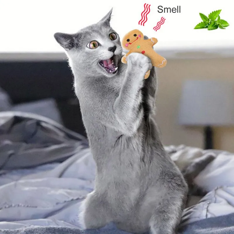 Christmas Gingerbread Man Pet Toy Mint Toy Clean Mouth Cat and Dog Toy Catton Plush Dog Toy Dog Toys for Small Dogs
Christmas Gingerbread Man Pet Toy Mint Toy Clean Mouth Cat and Dog Toy Catton Plush Dog Toy Dog Toys for Small Dogs