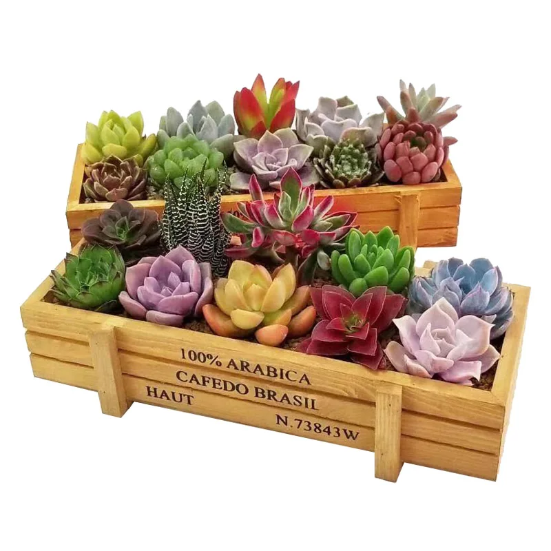 Wedding Garden Plant Pot Vintage Wooden Storage Box Sundries Stationery Succulents Flowerpot Balcony For Home Party Decoration
Wedding Garden Plant Pot Vintage Wooden Storage Box Sundries Stationery Succulents Flowerpot Balcony For Home Party Decoration