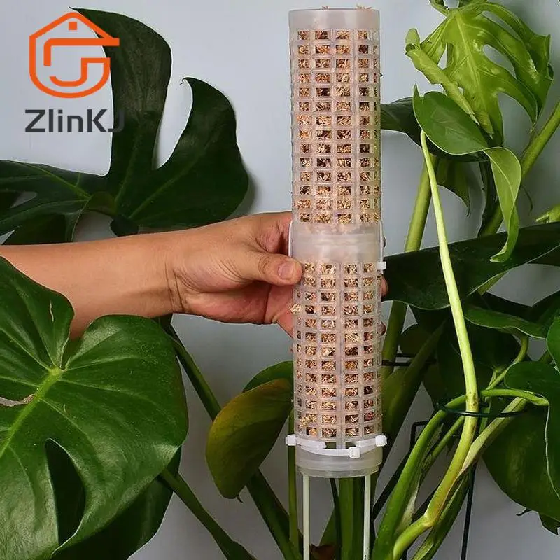 1PC Plastic Moss Pole Plastics Stackable Moss Totem Pole Stick Sphagnum Moss Pole Moss Stick For Orchid Monstera Flower Climbing
1PC Plastic Moss Pole Plastics Stackable Moss Totem Pole Stick Sphagnum Moss Pole Moss Stick For Orchid Monstera Flower Climbing