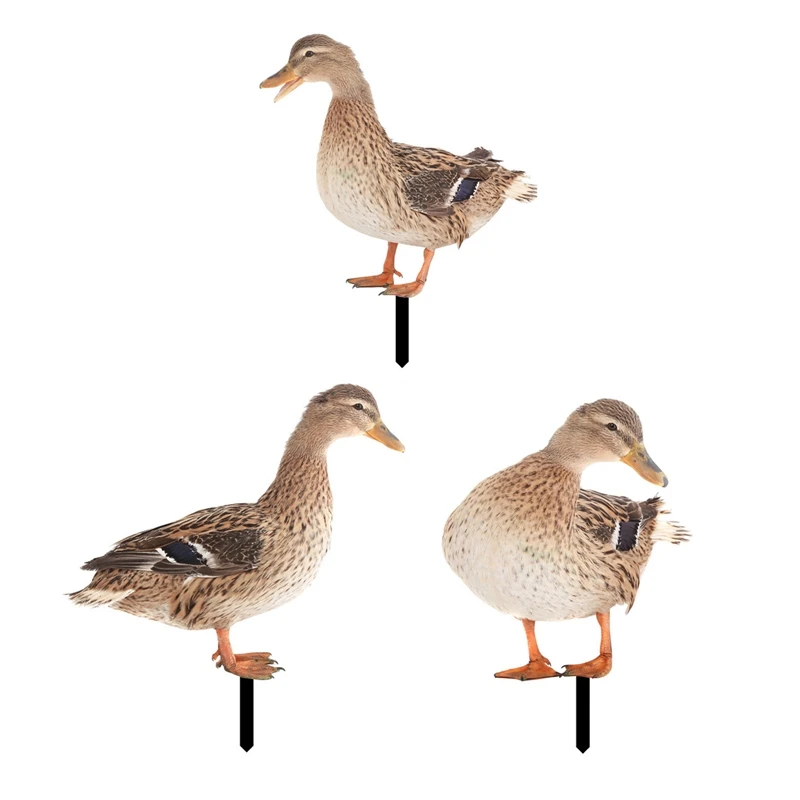 1pc Acrylic Duck Poultry Decoration Courtyard Garden Outdoor Decorative Stakes Wind Spinners With Card Embedded Insert On Lawn
1pc Acrylic Duck Poultry Decoration Courtyard Garden Outdoor Decorative Stakes Wind Spinners With Card Embedded Insert On Lawn
