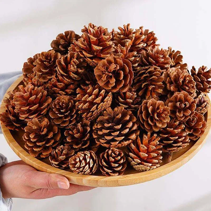 500g Natural Dried Pine Nuts For Merry Christmas Tree Decoration Students DIY Crafts Artificial Fake Fruit Vegetable Collocation
500g Natural Dried Pine Nuts For Merry Christmas Tree Decoration Students DIY Crafts Artificial Fake Fruit Vegetable Collocation