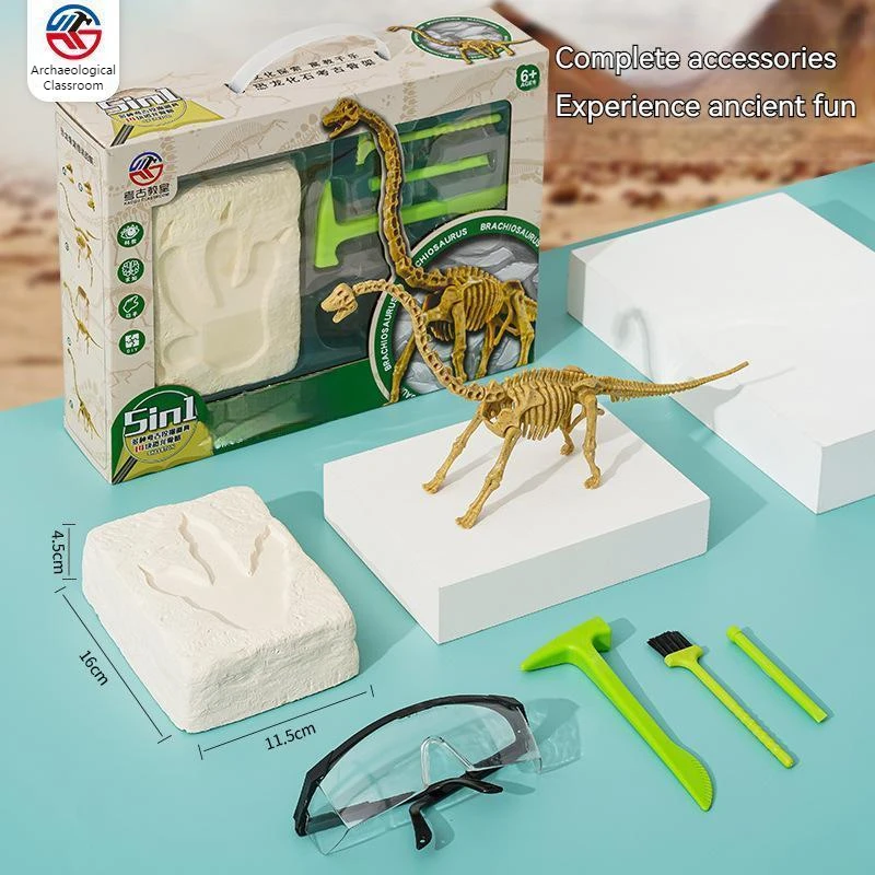 Fossil Archaeology Excavation Education Toy Children DIY Treasure Hunting and Treasure Digging Dinosaur Skeleton Model Gift
Fossil Archaeology Excavation Education Toy Children DIY Treasure Hunting and Treasure Digging Dinosaur Skeleton Model Gift