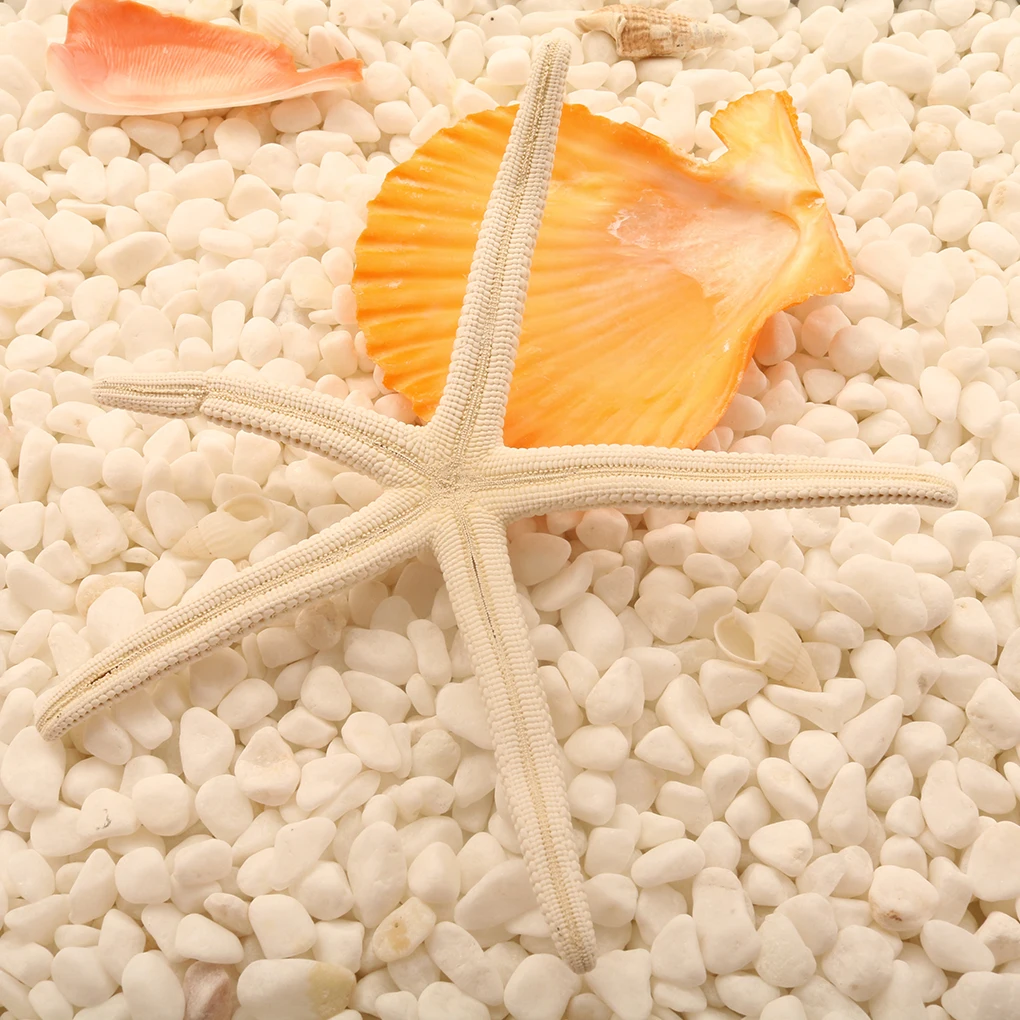 Natural 5-12cm/10-12cm White Finger Starfish Sea Stylish Home Hair Wedding Decor and Craft Project
Natural 5-12cm/10-12cm White Finger Starfish Sea Stylish Home Hair Wedding Decor and Craft Project