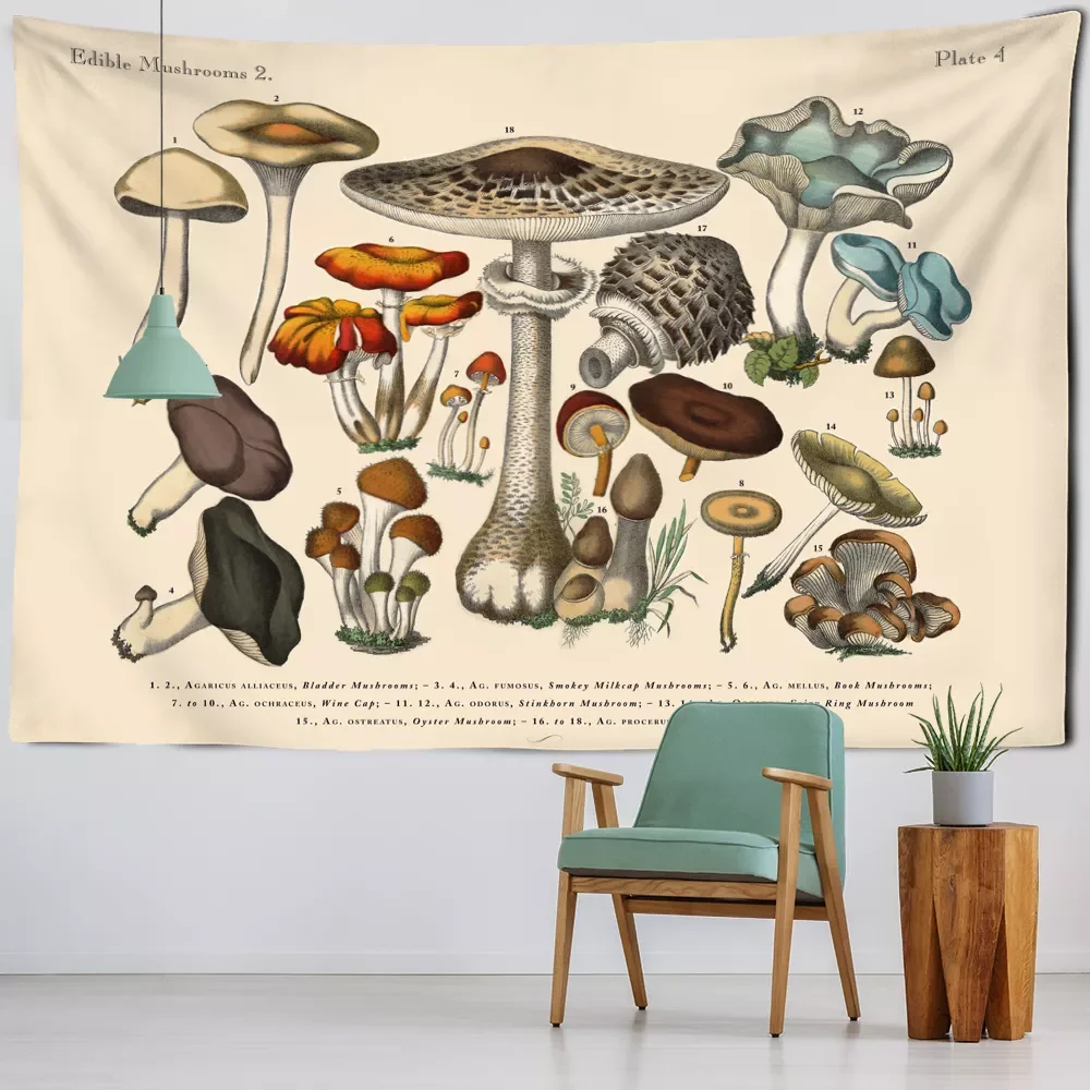 Identification Chart Tapestry Wall Hanging Mycology Psychedelic Witchcraft Tarot Retro Home Decor
Identification Chart Tapestry Wall Hanging Mycology Psychedelic Witchcraft Tarot Retro Home Decor
