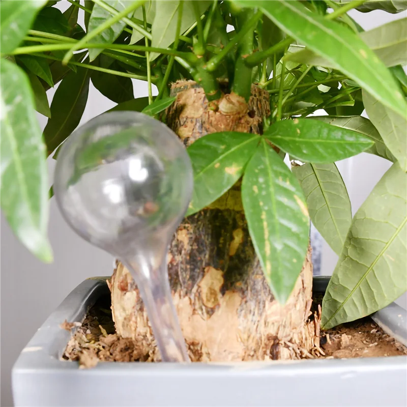 6Pcs Garden Watering Globes Automatic Watering Globes Plant Self Watering Bulb (Transparent&Green)
6Pcs Garden Watering Globes Automatic Watering Globes Plant Self Watering Bulb (Transparent&Green)