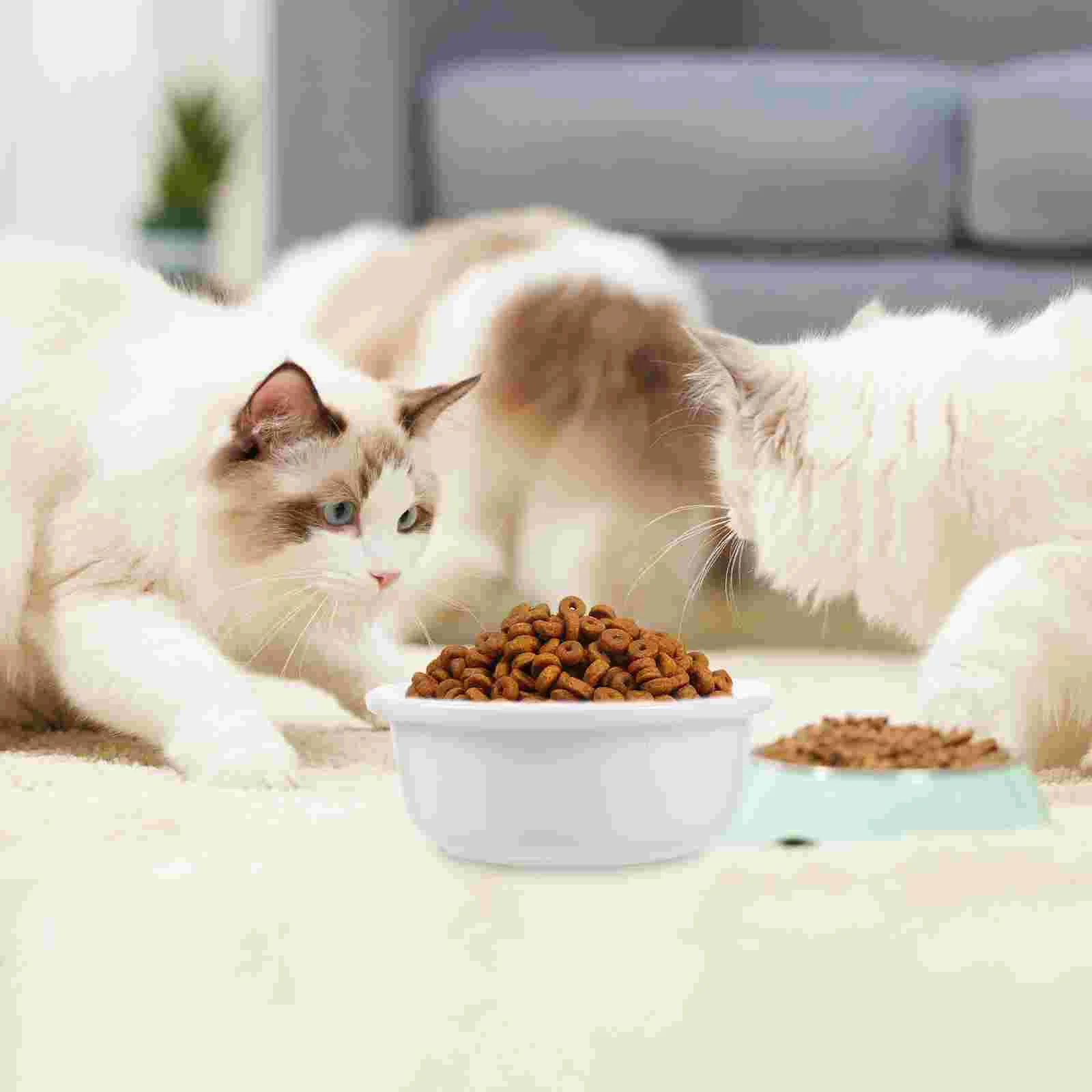 Ceramic Cat Food And Water Bowl Reusable Pet Dog Food Feeding Bowl Food Container
Ceramic Cat Food And Water Bowl Reusable Pet Dog Food Feeding Bowl Food Container