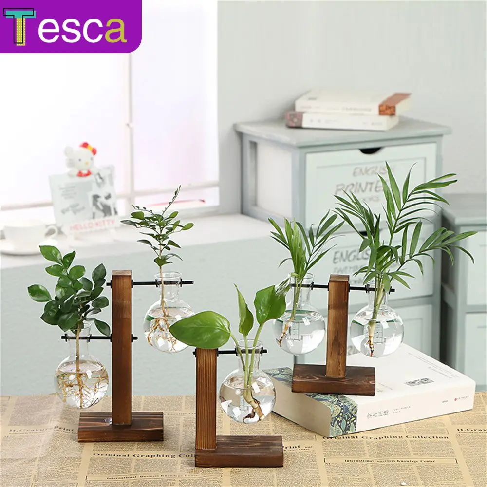 Simple And Creative Glass Bottle Flower Pot Wooden Frame Home Bonsai Decor Pineapple Plant Transparent Glass Vase Flower
Simple And Creative Glass Bottle Flower Pot Wooden Frame Home Bonsai Decor Pineapple Plant Transparent Glass Vase Flower