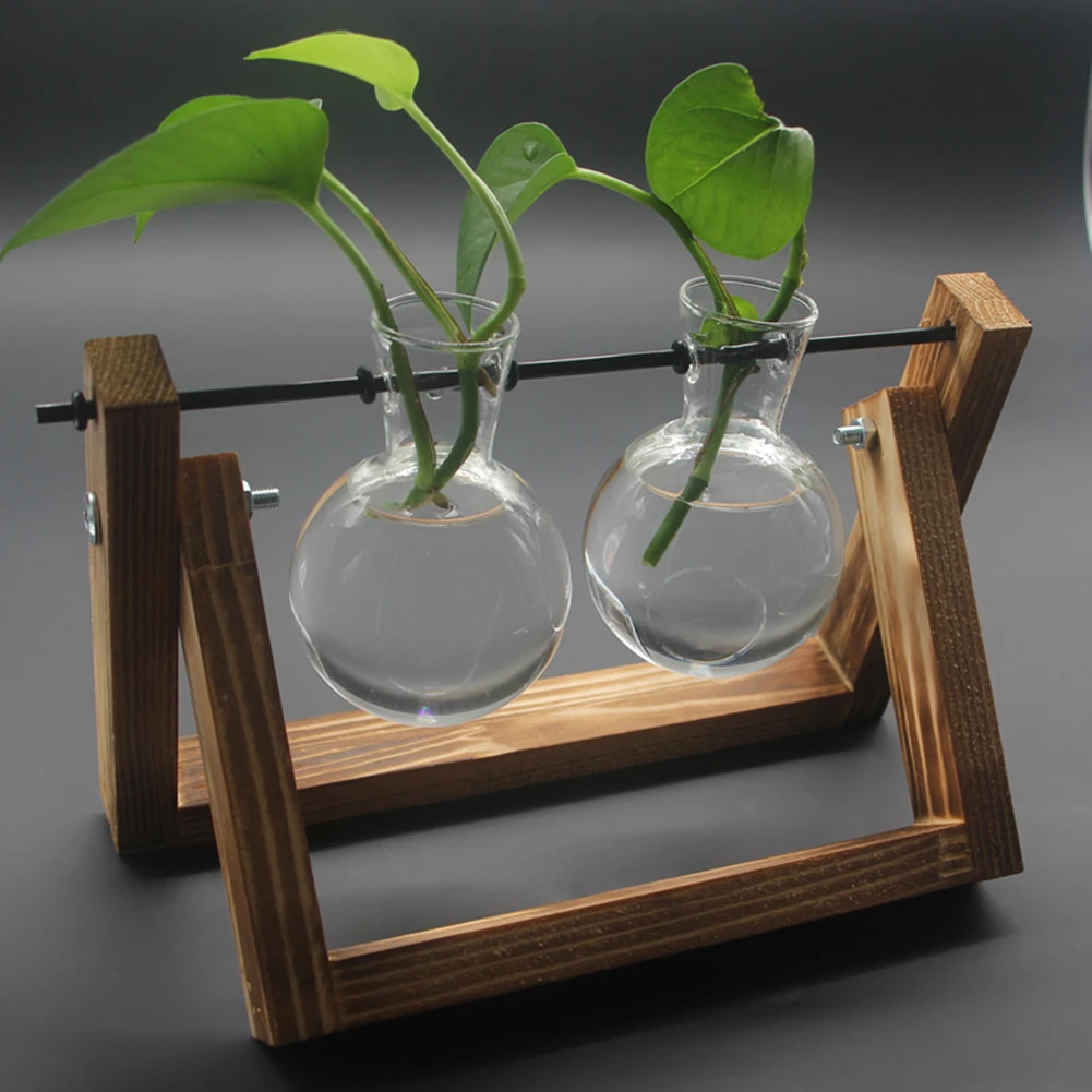 Retro Tabletop Hydroponics Plant Bonsai Plant Terrarium with Wooden Stand Glass Vase Planter Metal Swivel Holder Home Decoration
Retro Tabletop Hydroponics Plant Bonsai Plant Terrarium with Wooden Stand Glass Vase Planter Metal Swivel Holder Home Decoration