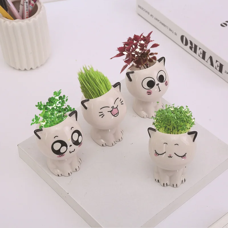 White Ceramic Cartoon Cat Selling Meng Expression Cat Pose Creative Crafts Long Grass Head Doll Plant Potted Plant
White Ceramic Cartoon Cat Selling Meng Expression Cat Pose Creative Crafts Long Grass Head Doll Plant Potted Plant