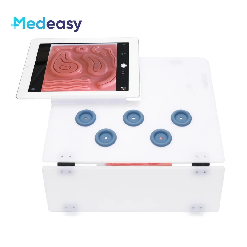 Laparoscopic Trainer Box without Camera, Pelvitrainer Simulator for Laparoscopy Surgery Training
Laparoscopic Trainer Box without Camera, Pelvitrainer Simulator for Laparoscopy Surgery Training