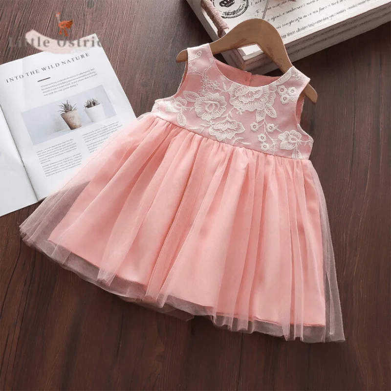 Newborn Baby Girl Cotton Floral Princess Dress Infant Toddler Sleeveless Summer Lace Mesh Dress Party Birthday Baby Clothes 0-3Y
Newborn Baby Girl Cotton Floral Princess Dress Infant Toddler Sleeveless Summer Lace Mesh Dress Party Birthday Baby Clothes 0-3Y