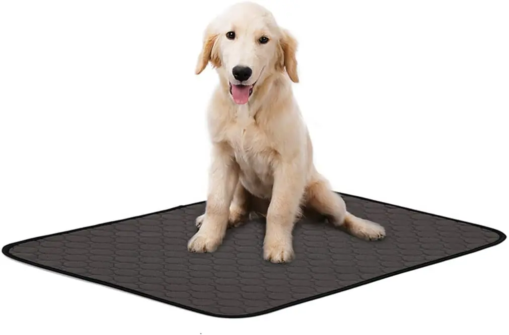 Waterproof Dog Mat, Washable Dog Training Pads Reusable Puppy Pee Pad 4-Layer Fast Absorb Mat with Non-slip Bottom
Waterproof Dog Mat, Washable Dog Training Pads Reusable Puppy Pee Pad 4-Layer Fast Absorb Mat with Non-slip Bottom