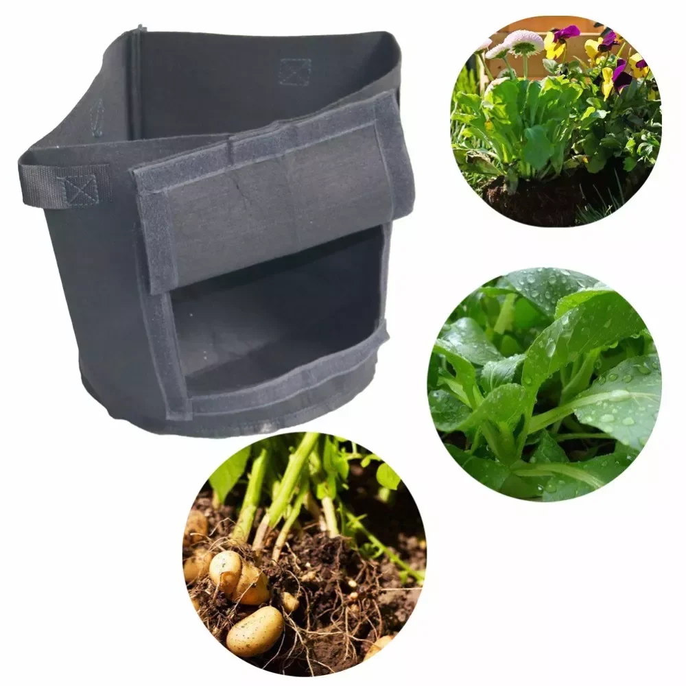 Пакеты для выращивания овощей, цветов, картофеля, 10 шт., 30 см x 30 см, нетканые тканевые горшки для растений, товары для дома и сада
Пакеты для выращивания овощей, цветов, картофеля, 10 шт., 30 см x 30 см, нетканые тканевые горшки для растений, товары для дома и сада