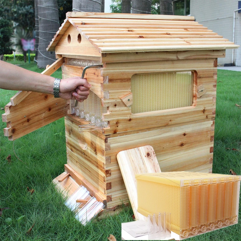 Automatic Wooden Beehive House 7pcs Beehive Frame Beehive Wooden Bees Beekeeping Equipment Hive Beehive Supply Beekeeper Tool
Automatic Wooden Beehive House 7pcs Beehive Frame Beehive Wooden Bees Beekeeping Equipment Hive Beehive Supply Beekeeper Tool