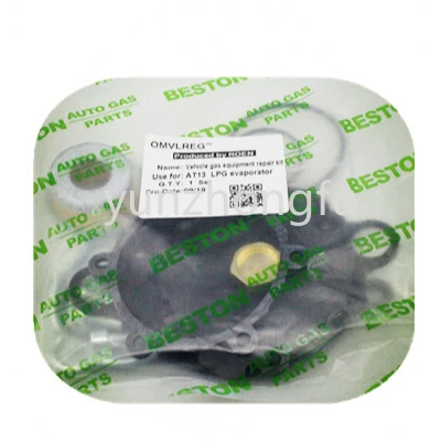 AT13 LPG Evaporator Repair Kit Diaphragm Rubber Pad Seal Ring Set for Autogas
AT13 LPG Evaporator Repair Kit Diaphragm Rubber Pad Seal Ring Set for Autogas