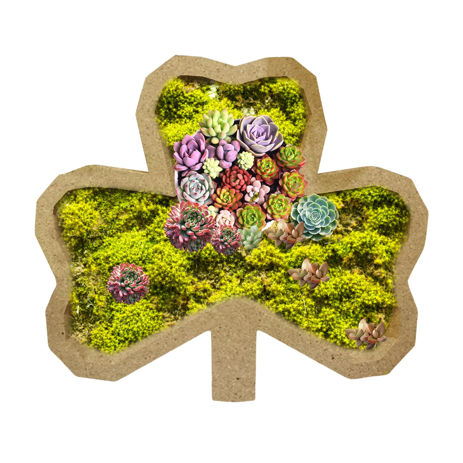 Animal Shaped Shallow Succulent Pots Wood Unique Decoration Shallow Flower Pots For Plants Garden Arrangement Ornament Yard
Animal Shaped Shallow Succulent Pots Wood Unique Decoration Shallow Flower Pots For Plants Garden Arrangement Ornament Yard