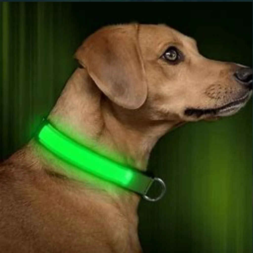 LED Pet Nylon Dog Collar Light Night Safety Flashing Glow In The Dark Dog Leash Dogs Luminous Fluorescent Collars Dog Collar
LED Pet Nylon Dog Collar Light Night Safety Flashing Glow In The Dark Dog Leash Dogs Luminous Fluorescent Collars Dog Collar