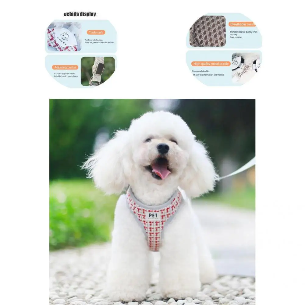 Adjustable Practical Kitten Puppy Mesh Vest Harness with Leash Set for Household
Adjustable Practical Kitten Puppy Mesh Vest Harness with Leash Set for Household