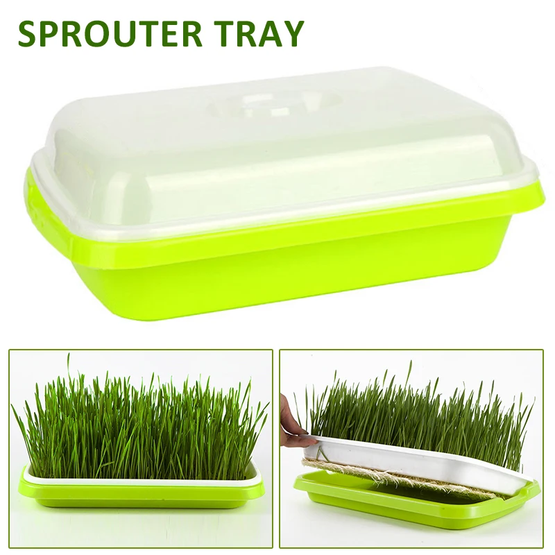 1Pc Hydroponics Bean Sprouts Grow Dishes Plate Plant Seedling Germination Nursery Tray Flower Plant Garden
1Pc Hydroponics Bean Sprouts Grow Dishes Plate Plant Seedling Germination Nursery Tray Flower Plant Garden