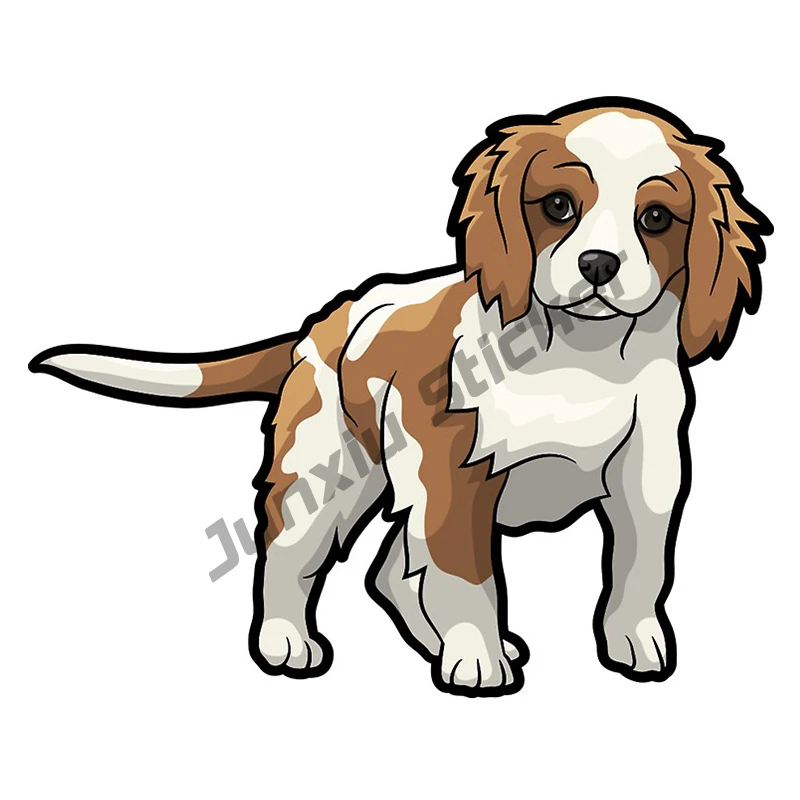 Cavalier Sticker King Charles Spaniel Vinyl Material Car Stickers Graffiti Decal Custom Printing Decoration Car Wrap KK10cm
Cavalier Sticker King Charles Spaniel Vinyl Material Car Stickers Graffiti Decal Custom Printing Decoration Car Wrap KK10cm