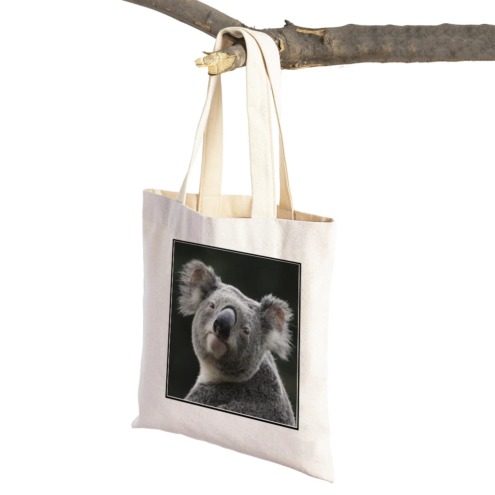 Double Print Cute Australian Koala Tote Handbag Foldable Reusable Cloth Casual Canvas Women Shopper Bag Ladies Shopping Bags
Double Print Cute Australian Koala Tote Handbag Foldable Reusable Cloth Casual Canvas Women Shopper Bag Ladies Shopping Bags