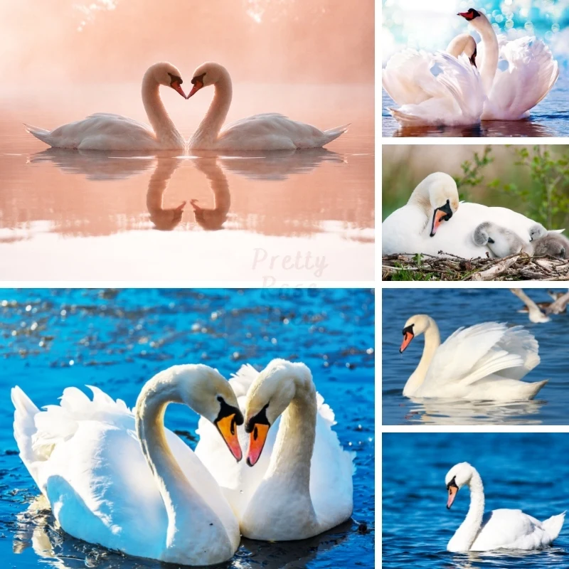 Pastoral DIY 5D Animals Diamond Painting Swan Environmental Natural Scenery Swans Lakes Pure Birds Art Embroidery Home Decor
Pastoral DIY 5D Animals Diamond Painting Swan Environmental Natural Scenery Swans Lakes Pure Birds Art Embroidery Home Decor