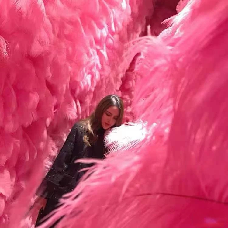 50pieces Natural Feather Photography 4-6 Inch 15-20 Cm Stage Background Feather Fluffy Wedding Diy Style Decoration Pink Feather
50pieces Natural Feather Photography 4-6 Inch 15-20 Cm Stage Background Feather Fluffy Wedding Diy Style Decoration Pink Feather