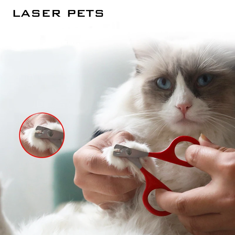 Cat Nail Clippers for Small Dog Cat Professional Puppy Claws Cutter Pet Nails Scissors Trimmer Grooming and Care Cat Accessories
Cat Nail Clippers for Small Dog Cat Professional Puppy Claws Cutter Pet Nails Scissors Trimmer Grooming and Care Cat Accessories