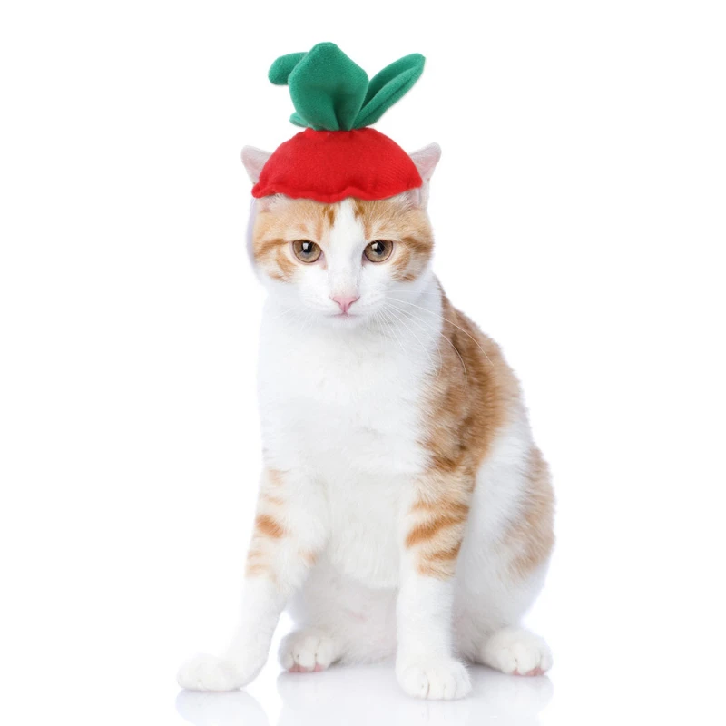 Headwear New Year Hats for Cats Strawberry Head Pet Accessories Funny Christmas Hats Goods Costume Cat Supplies Products Home
Headwear New Year Hats for Cats Strawberry Head Pet Accessories Funny Christmas Hats Goods Costume Cat Supplies Products Home